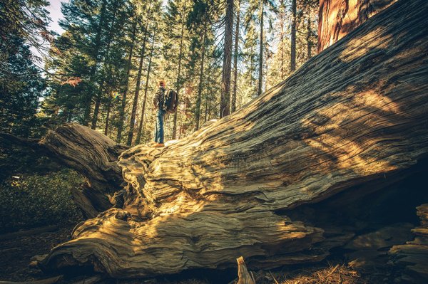 Comment explorer les parcs nationaux de la Patagonie chilienne sans guide?